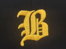 Brownsville Baseball Beanie