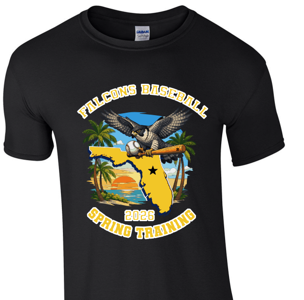 Brownsville Baseball Spring Training T-shirt